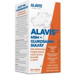 PADU Alavis MSM+Glukosamin sulfát pro psy 60 tablet – Hledejceny.cz