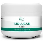 Karel Hadek Molusan balzám na molusky 50 ml – Hledejceny.cz