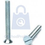 Šroub se zápustnou hlavou a průběžnou drážkou, DIN 963/ISO 2009, 4.8, pozinkovaný M2,5 x 20, balení 1 ks – Zboží Mobilmania