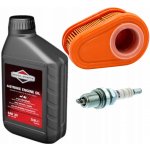 Briggs & Stratton SAE 30 600 ml – Sleviste.cz