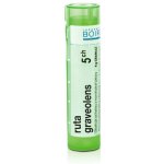 RUTA GRAVEOLENS POR 5CH GRA 4G – Hledejceny.cz