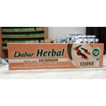 Dabur hřebíčková 100 ml – Hledejceny.cz