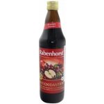 Rabenhorst Zeleninová šťáva Bio 0,75 l – Sleviste.cz