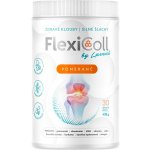 Luvené Flexicoll Kloubní výživa pomeranč 433 g – Hledejceny.cz
