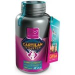 Cartilan MSM+kurkumin 100 tbl – Hledejceny.cz