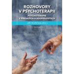 Rozhovory v psychoterapii - Psychoterapie v přesazích a souvislostech - Jiří Růžička – Hledejceny.cz