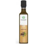 Green idea Sirup Třtinový Arónie+černý bez 250 ml – Hledejceny.cz