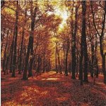 Ubrousek 33x33cm Les na podzim – Zboží Dáma