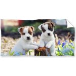 Carbotex Osuška 140 x 70 cm – Sleviste.cz