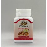 Abhai Zázvor 500 mg 70 kapslí – Hledejceny.cz