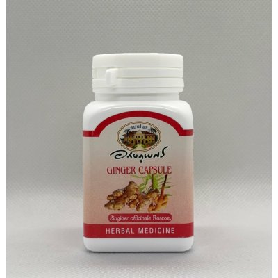 Abhai Zázvor 500 mg 70 kapslí – Hledejceny.cz