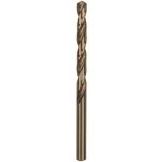 Bosch 2608585895 – Hledejceny.cz