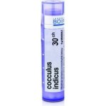 COCCULUS INDICUS POR 30CH GRA 1X4G – Hledejceny.cz