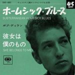 SP Bob Dylan - Subterranean Homesick Blues LTD – Hledejceny.cz