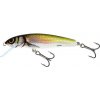 Návnada a nástraha Salmo Minnow 5cm F plovoucí HBL