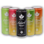 Puhdistamo Natural Energy Drink 330 ml – Sleviste.cz