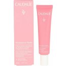 Caudalie Vinosource hydratační krém pro citlivou pleť Moisturizing Sorbet 40 ml