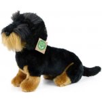 Eco- Friendly Pes jezevčík drsnosrstý sedící 30 cm – Zbozi.Blesk.cz