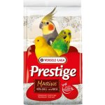 VERSELE-LAGA Shell Sand Marine 5 kg – Sleviste.cz