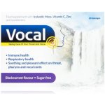 Rpm Pharma Vocal Pastilky bez cukru s příchutí Černý ryb.24ks – Sleviste.cz