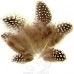 Tommi-Fly Perlička peří Přírodní – Hledejceny.cz