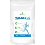 Vitatrend Magnecol 250 g – Hledejceny.cz