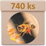 Víčko na sklenici TO-82 - Letící včela - Krabice 740 ks – Zboží Mobilmania