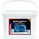 EQUINE AMERICA More Muscle Pellets 10 kg – Hledejceny.cz