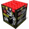 Gaoo Fireworks Ohňostroj MUSIC baterie 25 ran 1" M25-1