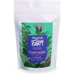 Mokaflor Farm Guatemala zrnková 250 g – Hledejceny.cz