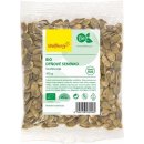 Ořech a semínko Wolfberry Dýňové semínko loupané BIO 100 g