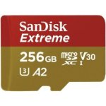 SanDisk microSDXC UHS-I U3 256 GB SDSQXAV-256G-GN6GN – Hledejceny.cz
