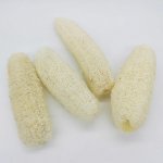 Lufa bělená 15-20cm/12ks – Zboží Mobilmania