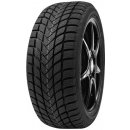 Osobní pneumatika Delinte WD6 185/55 R15 82H