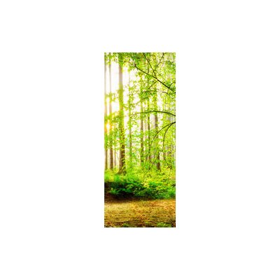 WEBLUX 139969469 Samolepka na dveře fólie Idyllischer Wald mit Bach bei Sonnenaufgang rozměry 90 x 220 cm – Zboží Mobilmania