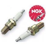 Zapalovací svíčka NGK DPR8EA-9 4929 | Zboží Auto