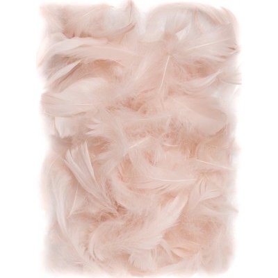 DP Craft Peří starorůžová 10 gr. 5-12 cm – Hledejceny.cz