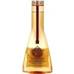 L'Oréal Mythic Oil Shampoo Fine Hair olejový šampon pro jemné a normální vlasy 250 ml – Zbozi.Blesk.cz