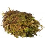 HabiStat Sphagnum Moss 1 kg – Zboží Dáma