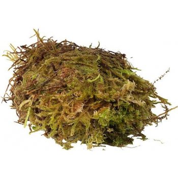 HabiStat Sphagnum Moss 1 kg