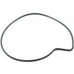 Piaggio Vodní pumpa - těsnění 827884 – Sleviste.cz