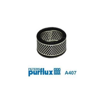 Vzduchový filtr PURFLUX A407 – Hledejceny.cz