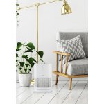 Domo DO264AP – Zboží Živě