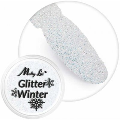 Jemný glitrový prach na nehty 1g Glitter Winter 09 krásně třpytivý holografický glitter – Zboží Mobilmania