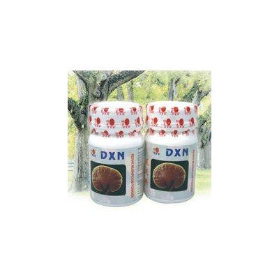 DXN Reishi Mushroom prášek 70 g