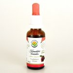 Salvia Paradise Kanadská brusinka lyofilizovaná AF tinktura 30 ml – Hledejceny.cz