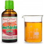 Bylinné kapky Smetanka pampeliška květ kapky Duše rostlin tinktura 50 ml – Hledejceny.cz