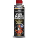 Aditivum do paliv BlueChem Fuel System Cleaner 300 ml