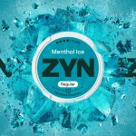 ZYN ICY MINT 11 mg 21 sáčků – Zboží Dáma