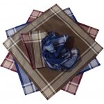 Etex Bavlněné kapesníky pánské typ K 40x40 – Zboží Dáma Etex Bavlněné kapesníky pánské typ K 40x40 – Zboží Dáma